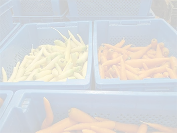 Keraaminen kuitubulkki